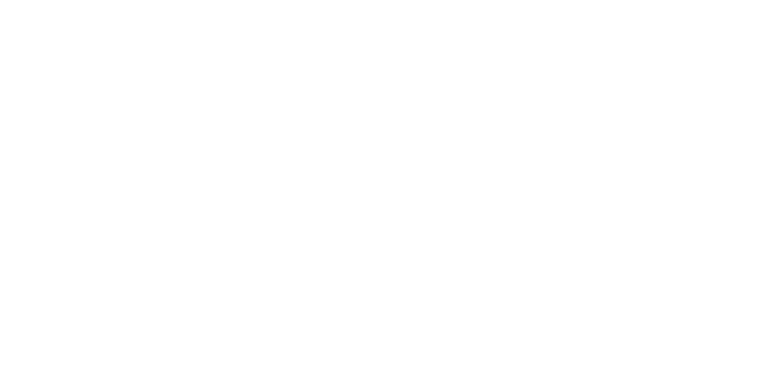 Vultey Logo All White